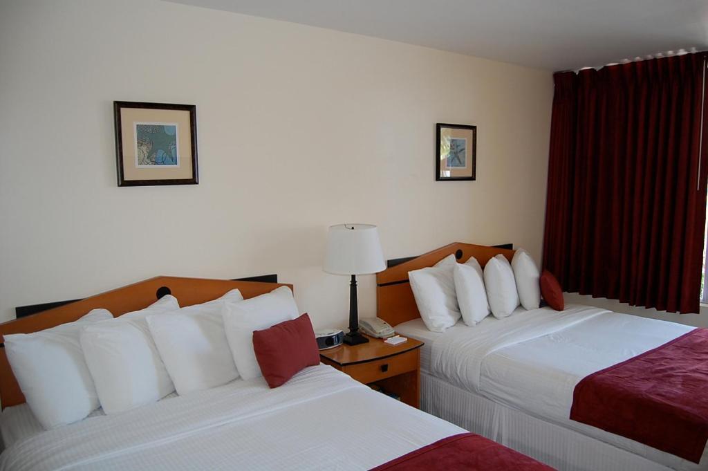 Alcazar Resort- Gay Mens Resort Fort Lauderdale Rom bilde