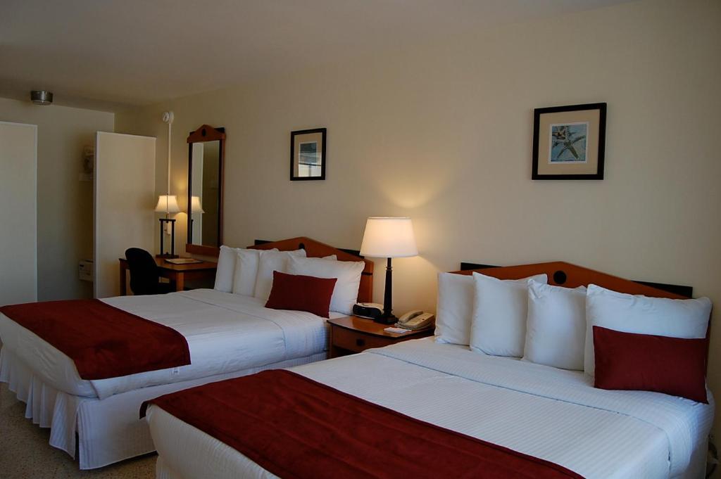 Alcazar Resort- Gay Mens Resort Fort Lauderdale Rom bilde